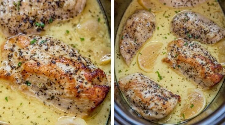 Image for Slow Cooker Creamy Lemon Chicken