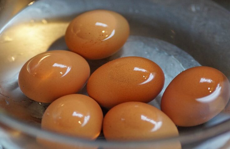 How to Make Hard Boiled Eggs In Microwave (Without the Mess)