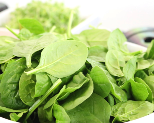 high protein vegetables for bodybuilding