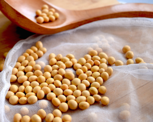 high protein vegetables for bodybuilding