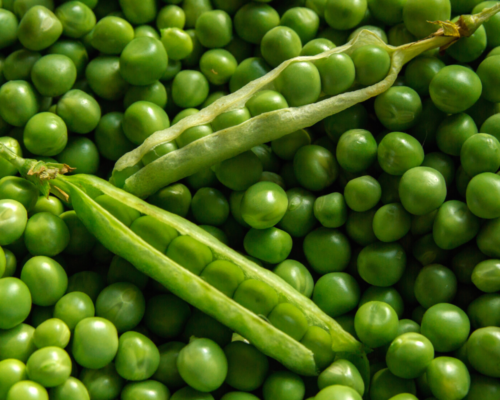 high protein vegetables for bodybuilding