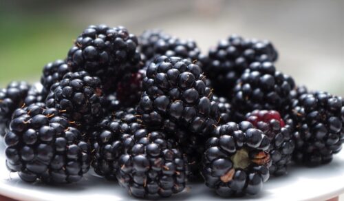  Keto Friendly Fruit List + Free Printable blackerries