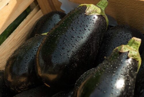 eggplants keto friendly vegetables