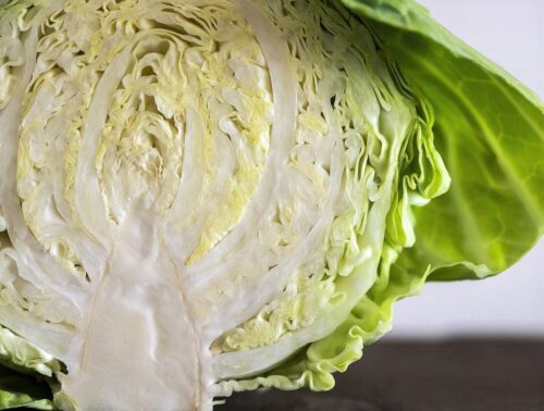 keto friendly vegetables cabbage