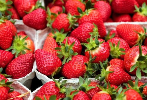 good fruits for ketogenic diet - strawberries