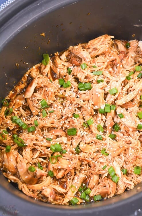 Keto Dump and Go Crock Pot Meals Chicken Teriyaki