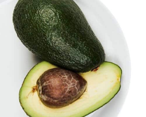 avocado 