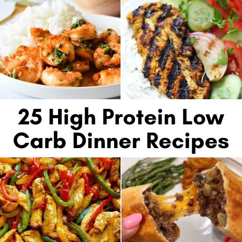 low carb high protein meals