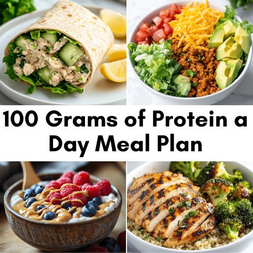 100 grams of Protein a Day Meal Plan