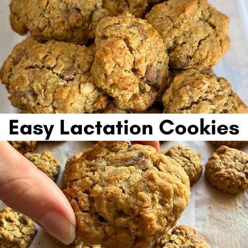 easy-lactation-cookies